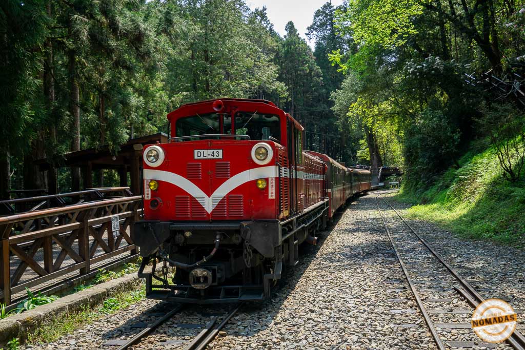El famoso tren rojo de Alishan recorriendo el bosque, una de las mejores actividades que hacer en Taiwán para los amantes de la naturaleza