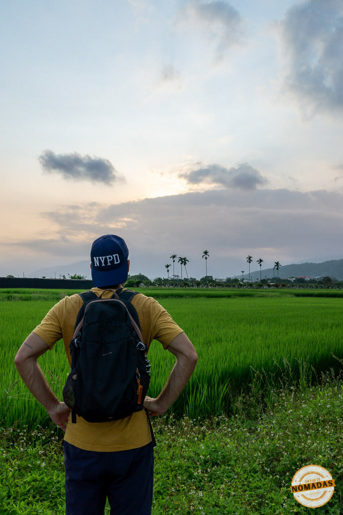 Viajero contemplando el atardecer entre arrozales en Taitung, Taiwán