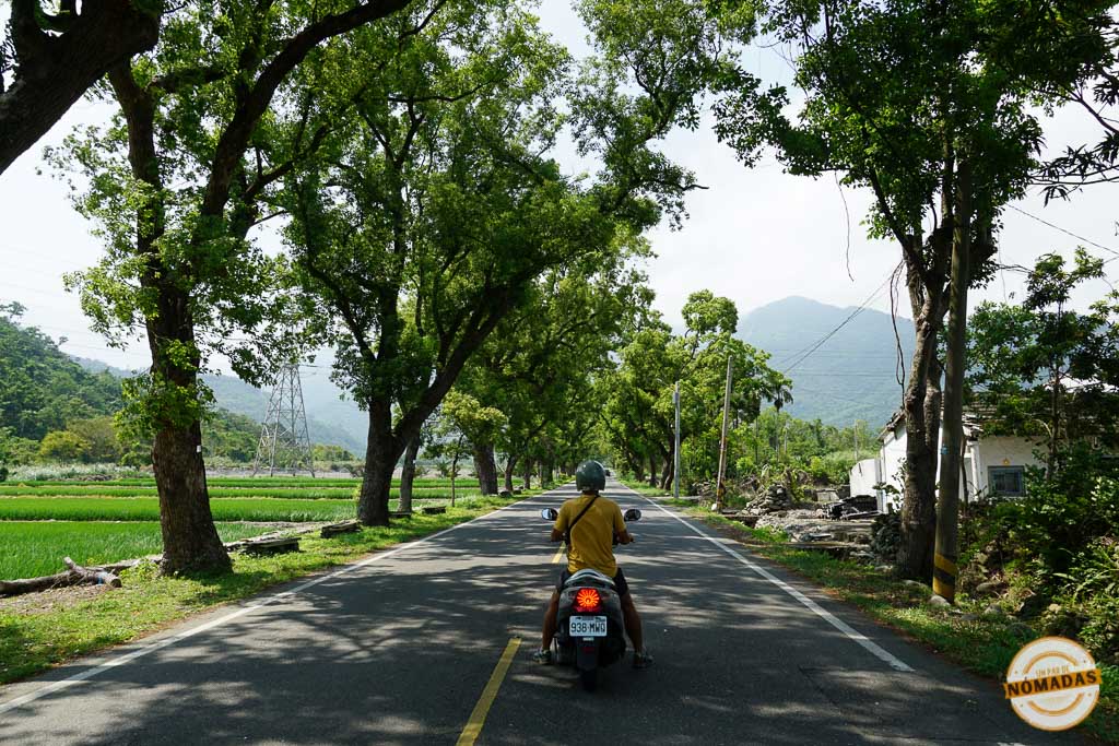 Motocicleta recorriendo el Green Tunnel de Taitung rodeado de árboles