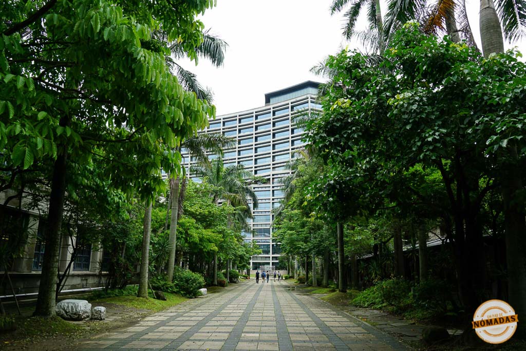Camino arbolado entre palmeras y vegetación en el Songshan Cultural and Creative Park, con edificio moderno al fondo.