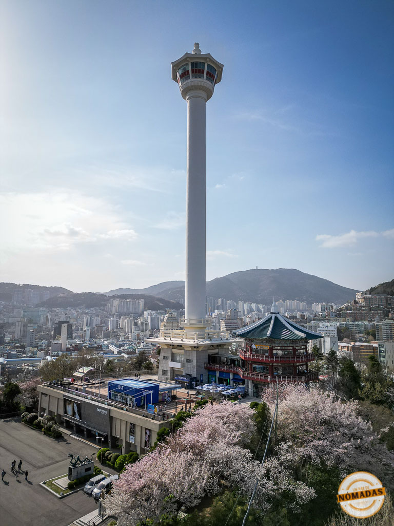Vista aérea de la Torre de Busán rodeada de cerezos en flor, con la ciudad y las montañas al fondo
