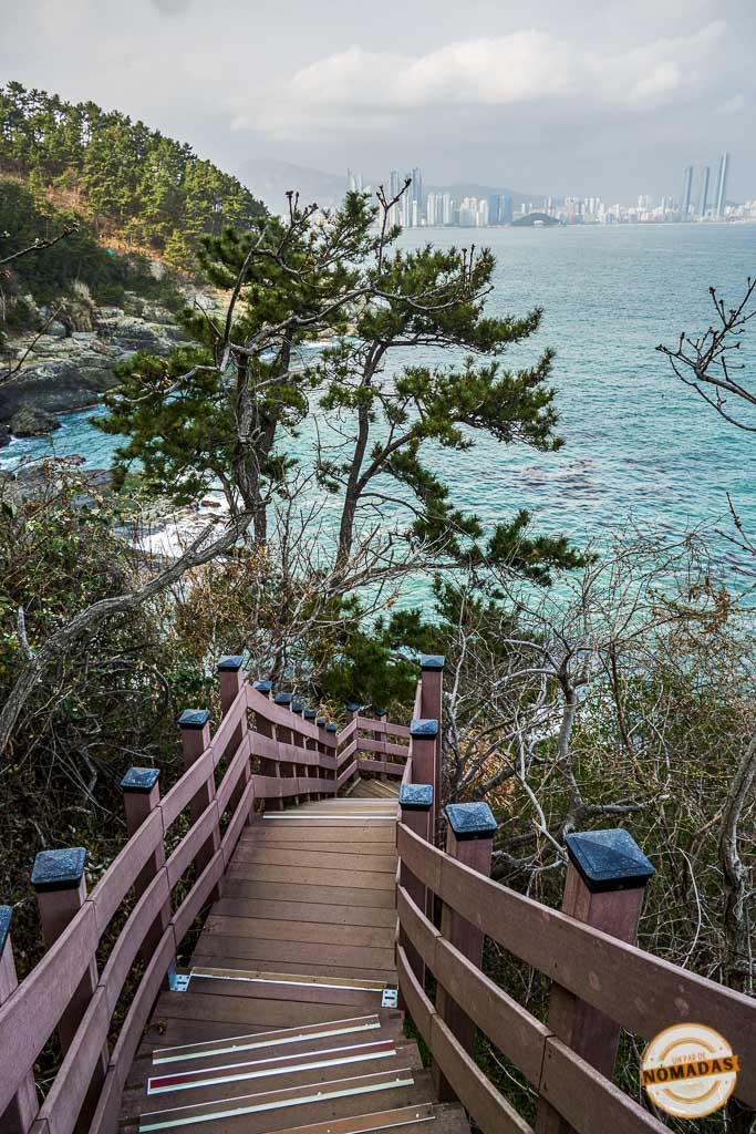 Escalera de madera entre árboles con vista al mar en el Igidae Coastal Trail de Busán, un sendero escénico que no te puedes perder

