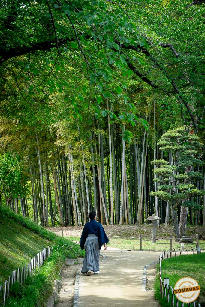 Hombre con kimono caminando por sendero de bambú en el jardín Kōrakuen
