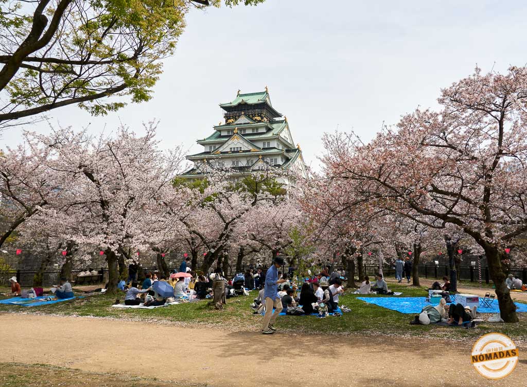 Personas disfrutando del hanami bajo los cerezos en flor en los jardines Nishinomaru con el castillo de Osaka al fondo
