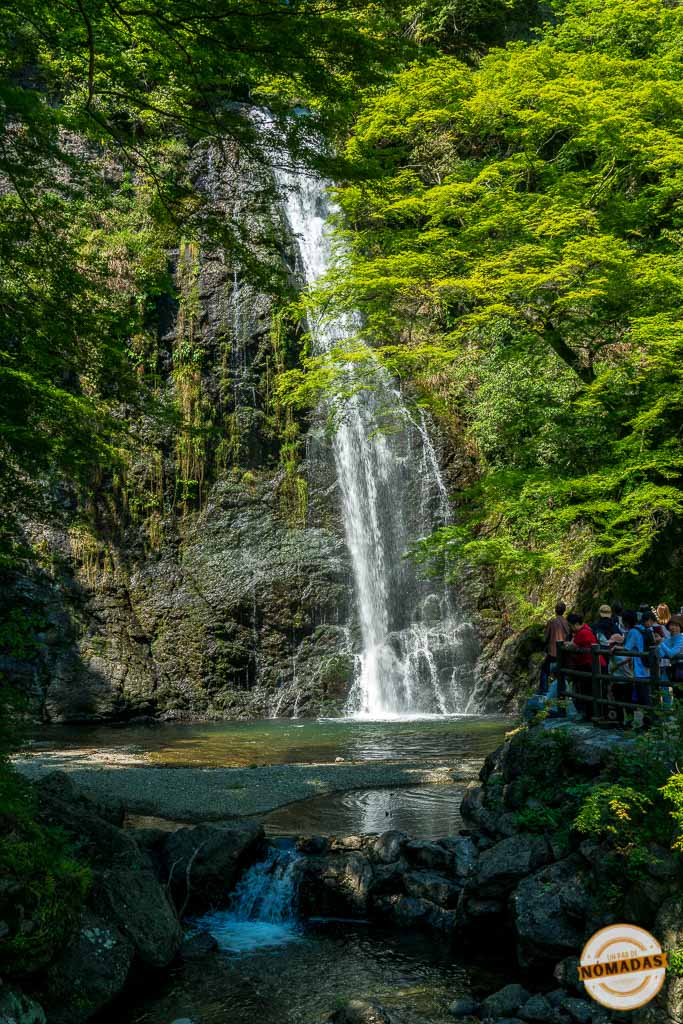 Cascada rodeada de árboles con turistas observando desde una barandilla. Una escapada desde Osaka
