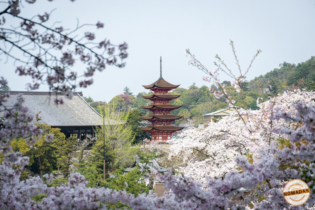 Vista de la pagoda de cinco pisos de Miyajima rodeada de cerezos en flor, uno de los templos imprescindibles que ver en Miyajima en primavera