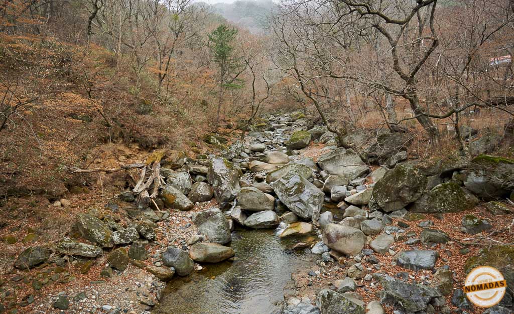 Río de montaña rodeado de bosque en el Parque Nacional Gayasan, uno de los paisajes naturales más bellos cerca de Daegu
