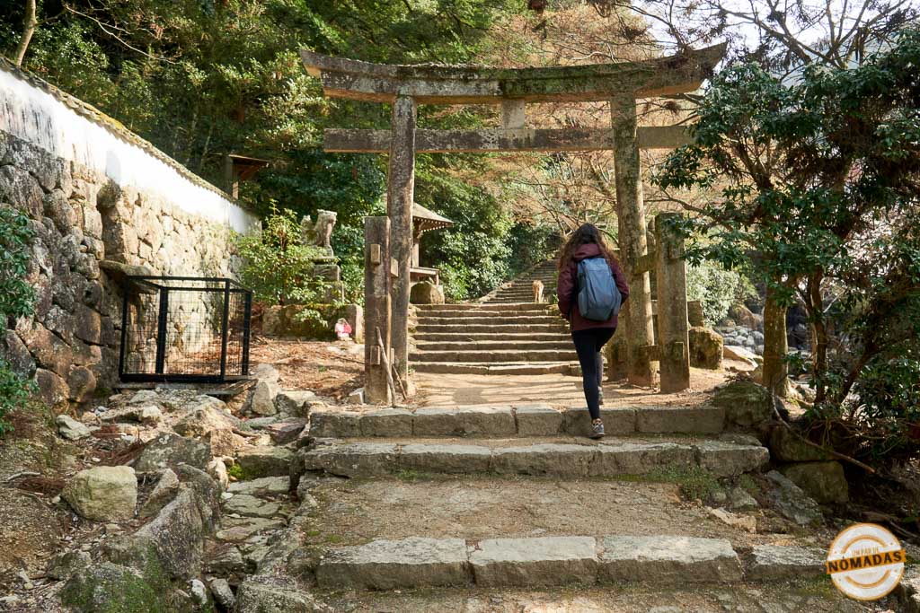 Tatiana subiendo por un sendero de piedra con torii entre árboles en la ruta al Monte Misen en Miyajima, una de las mejores actividades al aire libre