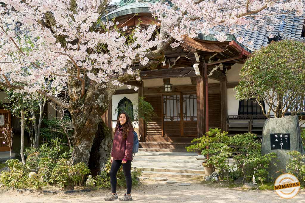 Tatiana de pie junto a un cerezo en flor frente al templo Daisho-in en Miyajima, una visita esencial durante la primavera