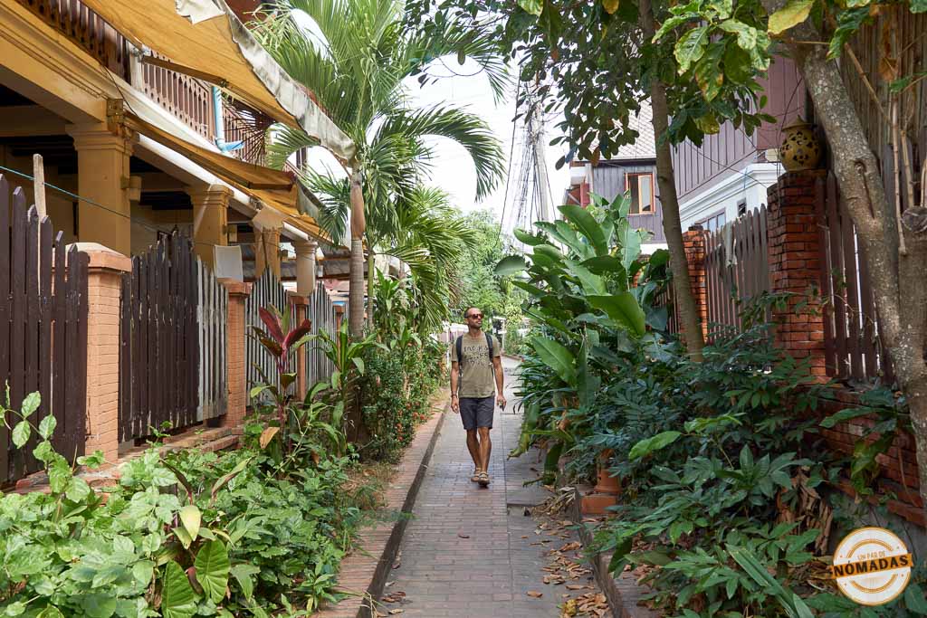 Viajero caminando por una calle estrecha y tranquila de Luang Prabang rodeada de vegetación tropical.
