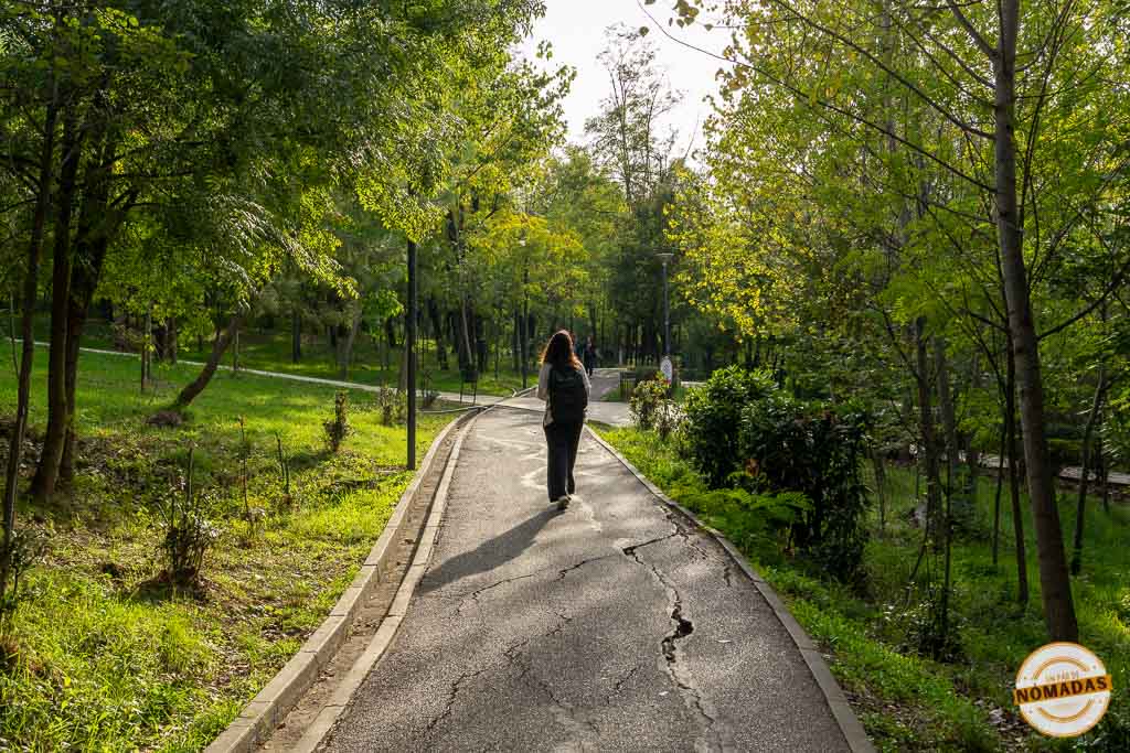 Mujer paseando por un sendero arbolado y tranquilo en el Gran Parque de Tirana, lejos del ruido de la ciudad.